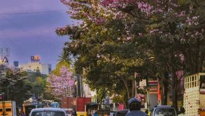 How is Life in Bangalore City for Students?