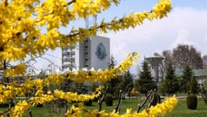 Kashmir University Postpones Exams Due to Heavy Snowfall: What You Need to Know
