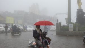 What is Causing Heavy Rainfall in Tamil Nadu and Andhra Pradesh This Week?