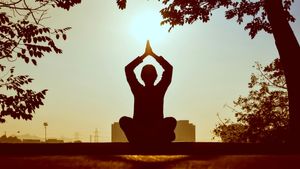 Sri Sri Ravi Shankar Headlines First World Meditation Day at UN Event