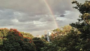 Is Rain Expected in Bangalore Soon? Here's What the Weather Forecast Says
