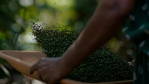 Which Indian State is Known as the 'Spice Garden of India'?