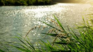 Which Indian State is Known as the 'Land of Five Rivers'?