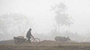 What Can Bengaluru Residents Expect From the Weather on January 18, 2025?