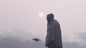 Is March 2025 Set to Be Bangalore’s Hottest Month on Record?
