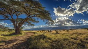 World Wildlife Day – A Call to Protect and Preserve Nature