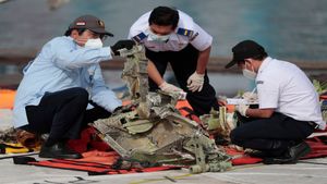 How to Become an Air Crash Investigator in India: DGCA & AAIB Roles Explained