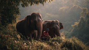 Thought for the Day – National Geographic Day - 27 January 2026