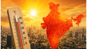 Beyond the Thermometer: Why the Heat Index is Your Summer Survival Guide