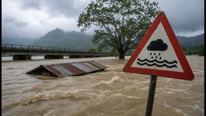 Facing the Assam Flood Crisis 2026: Essential Safety Rules Every Student Must Know