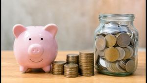 Retirement Savings Alert: How to Verify Your EPFO Interest FY26 Credit Today