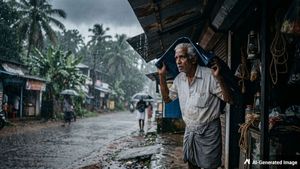Kerala Rain Alert: IMD Issues Red Alert for Malappuram, Kozhikode and Wayanad