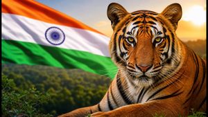International Tiger Day 2026: Why India’s Conservation Success Story Is a Must-Know for Every Student
