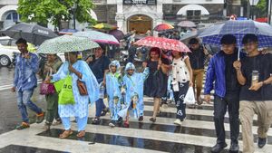 Karnataka School Holiday: Schools & Colleges Closed in Hosanagar & Sagar Taluks Due to Heavy Rain