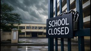 Red Alert Issued: Palghar Schools Closed Today, What About Mumbai and Thane?