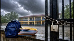 Uttarakhand School Holiday Alert: Heavy Rain Forces Closure in 4 Districts Today