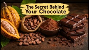World Chocolate Day: The Hidden Journey of India’s Finest Cocoa Beans