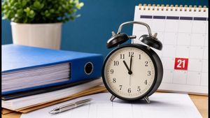 IBPS Clerk 2026: Last Chance to Apply Before August 21 Deadline Expires