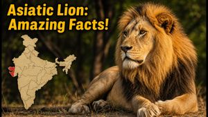 World Lion Day 2026: Amazing Asiatic Lion Facts Every Student Should Know