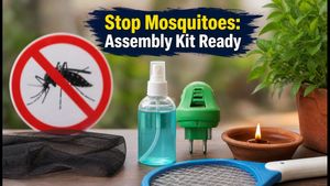 Beat the Monsoon: World Mosquito Day 2026 Assembly Kit, GK Quiz, and Prevention Tips