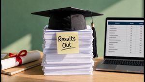 Bihar DElEd Result 2026 Out: Check 1st & 2nd Year Scores, Pass Percentage, and Download Marksheet PDF