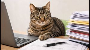 CAT 2026 Registration: Crucial Tips to Avoid Last-Minute Rejection Before September 22