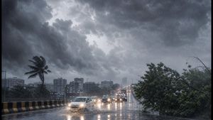 IMD Weather Alert: Heavy Rain and Storms Expected Today – Essential Travel Tips for Students