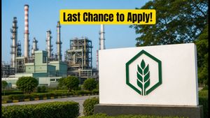 RCF Management Trainee 2026: Last Chance to Apply Before Tomorrow’s Deadline