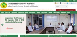 ICFRE Recruitment 2021: ಜ್ಯೂನಿಯರ್ ಪ್ರಾಜೆಕ್ಟ್ ಫೆಲೋ ಹುದ್ದೆಗಳಿಗೆ ನೇರ ಸಂದರ್ಶನ