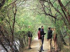 Career In Forestry : ಅರಣ್ಯ ಕ್ಷೇತ್ರದಲ್ಲಿ ಕೆರಿಯರ್ ರೂಪಿಸಿಕೊಳ್ಳುವುದು ಬೇಸ್ಟ್ ..ಕಾರಣಗಳು ಇಲ್ಲಿವೆ