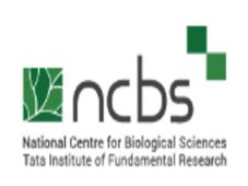 NCBS Recruitment 2022 : ವೈಜ್ಞಾನಿಕ ಅಧಿಕಾರಿ ಹುದ್ದೆಗಳಿಗೆ ಅರ್ಜಿ ಆಹ್ವಾನ