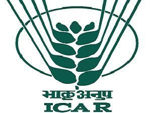 NTA Released ICAR AIEEA Result 2022 For UG programmes; Direct Link Here