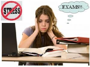 Are EXAMS the only way to test Students?