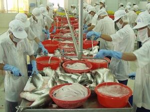 IGNOU offers Distance Learning programme in Fish Processing
