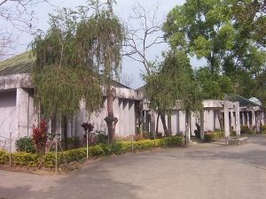 Rajiv Gandhi University to introduce semester system for UG courses