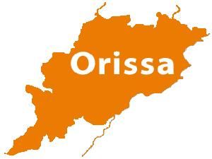 Four 3-membered panels formed to examine varsities in Odisha