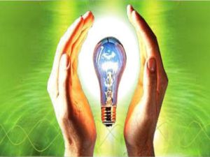 Mumbai school kids get lessons on saving energy 
