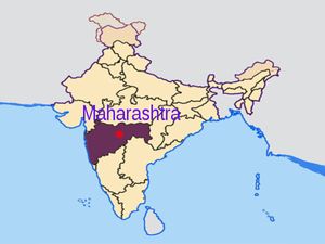 Maharashtra state govt appoints new education commissioner