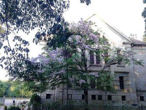 IISc's database to save the vegetation of the state