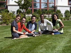 About 20% of foreign students fill up the Cornell University