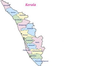 Foreign Students in Kerala vexed due to Malayalam lectures 