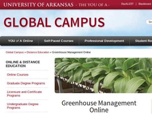 Manage your Greenhouse with this online Greenhouse management course