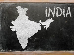 Indian-American wins US Great Teaching award