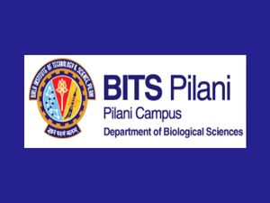 Opportunity to work as Junior Research Fellow in BITS Pilani