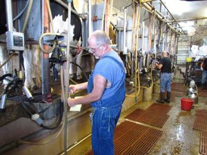 What is B.Tech in Dairy Technology and its scope