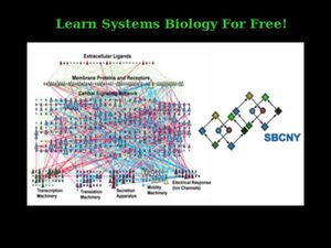 Want to know about Systems Biology? Take this free online course