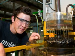 Which colleges offer course in Metallurgical Engineering