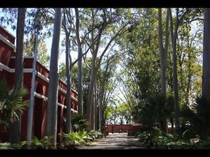 Doon school to run leadership course