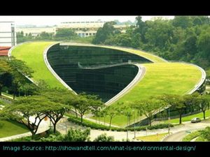 What is Environmental Design and its scope?