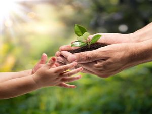 Emergence of Life - Online course by University of Illinois